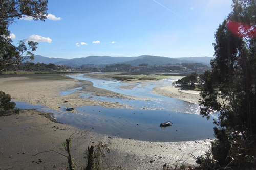  Ir a Camiño de Santiago